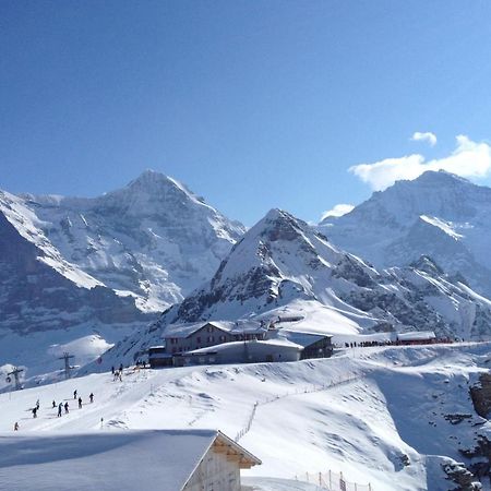 Jungfrauview Lejlighed Wengen Eksteriør billede